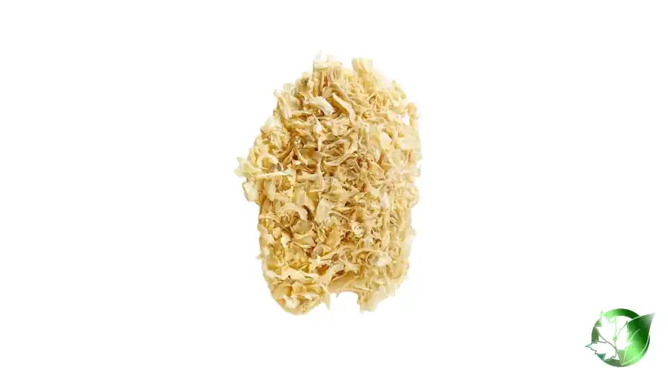 Bulk Dried Onions | Suppliers | Wholesale | ParsaFood Global